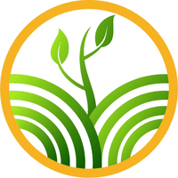RV Tree Care - Darwin Tree Services