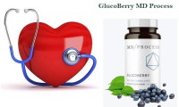 What Are the Benefits of GlucoBerry Blood Sugar for Blood Sugar Control?