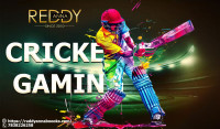 Reddy Anna Online Book – Best Cricket ID Provider