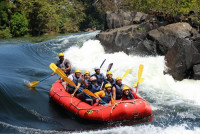 Ultimate Nature Escape at Dandeli Stay Inn Resort – Experience the Wild in Comfort