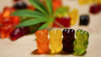 Shark Tank Weight Loss Gummies Is It Really Natural Weight Loss Gummies Work?