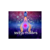 Aadya Chakkra - The Healing & Astrologer Hub