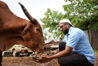 New Shelter Project Gau Mata Protection & Care
