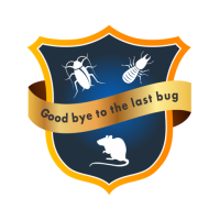 Best Pest Control Services in Hyderabad – AJL Pest Control