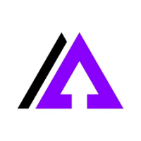 AVN Digital Media