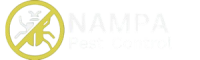 Pest Control Nampa