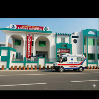 Alpine Multi Speciality Hospital