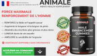 Animale Male Enhancement Gummies Site officiel, avis, prix et achat en AU et en Nouvelle-Zélande