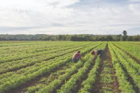 Buy 1 Acre Agricultural Land for Sale to Establish a Lasting Real Estate Heritage for Your Family