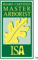 Richmond Tree Experts GA