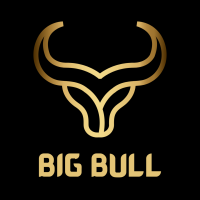 Bigbulluae