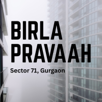 Birla Pravaah Price
