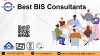 BIS Consultant Services