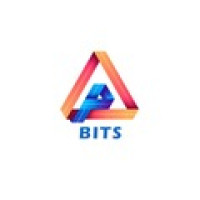 BestInfoTechSolution