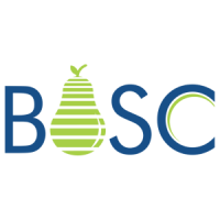 Software Development Company | BOSC Tech Labs