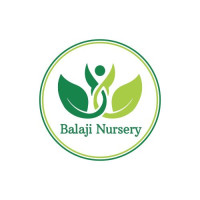 Balaji Nursery