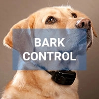 How to train your dog with BarXStop?