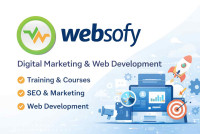 Websofy Software Pvt. Ltd | Best IT Company in Lucknow