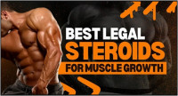 Legal Steroids Compared: Which One Builds Muscle Fastest?