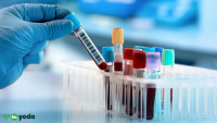 Leading Diagnostics & Genetic Testing Lab | Mr. Yoda