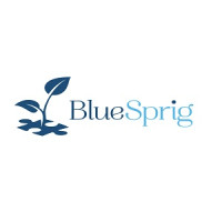 BlueSprig Matthews