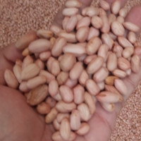 Somnath Agri Impex