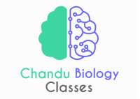 Chandu Biology Classes – Best Life Sciences Coaching Institute in Narayanguda, Hyderabad
