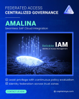 AMALina by CaptainSys – Advanced Identity and Access Management Solutions for Enterprise Security