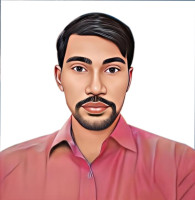 Professional Digital Marketer and Seo Expert