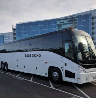 BUSXOXO – Luxury Bus Rentals for Events, Tours & More