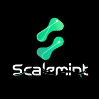 ScaleMint – Digital Marketing & Web Development Agency