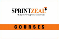 PMI PBA Certification Training Course in Boston MA, United States