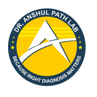 Dr Anshul Path Lab mathura