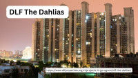 DLF The Dahlias | Offers Luxury Residency in Gurgaon