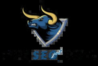 THE SEO BULL