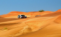 Desert Safari