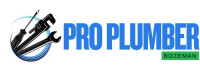 Pro Plumber Bozeman