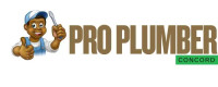 Pro Plumber Concord