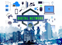 24By7 Web Solution | Digital Marketing & Local SEO Company in Noida