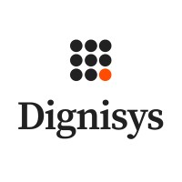 Brand Identity Design Services Dignisys Digital