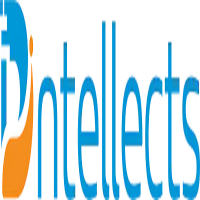 Dintellects Solutions Pvt. Ltd.