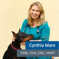 Dr. Cindy Maro DVM