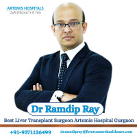 Dr Ramdip Ray