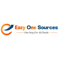 IT consulting Services | Eazy One Sources