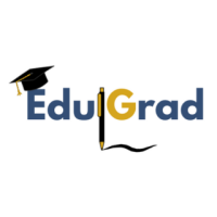 Top Online MBA Specializations in 2025 – Which One Should You Choose?