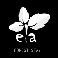 Ela Forest Stay - Best Jungle Resorts in Kerala