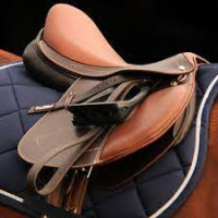 Horse Saddle Shop