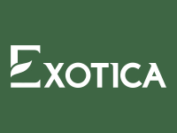 Exotica Sector 22D Yamuna Expressway