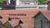 Chinese Roof Tiles