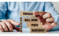 Tanis McGonegal Family Law, P.C.